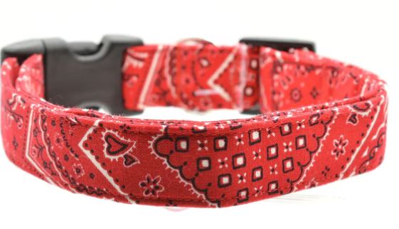 Paws With Purpose Inc. collar
